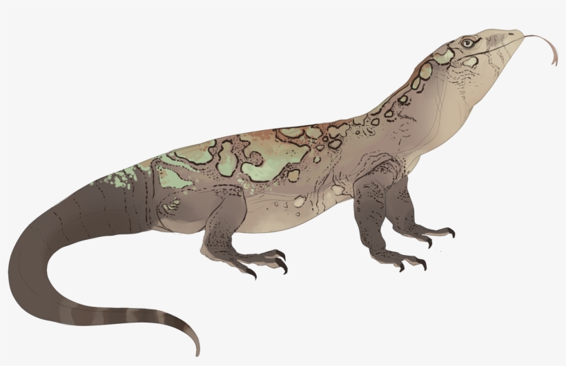 Komodo Dragon, transparent png