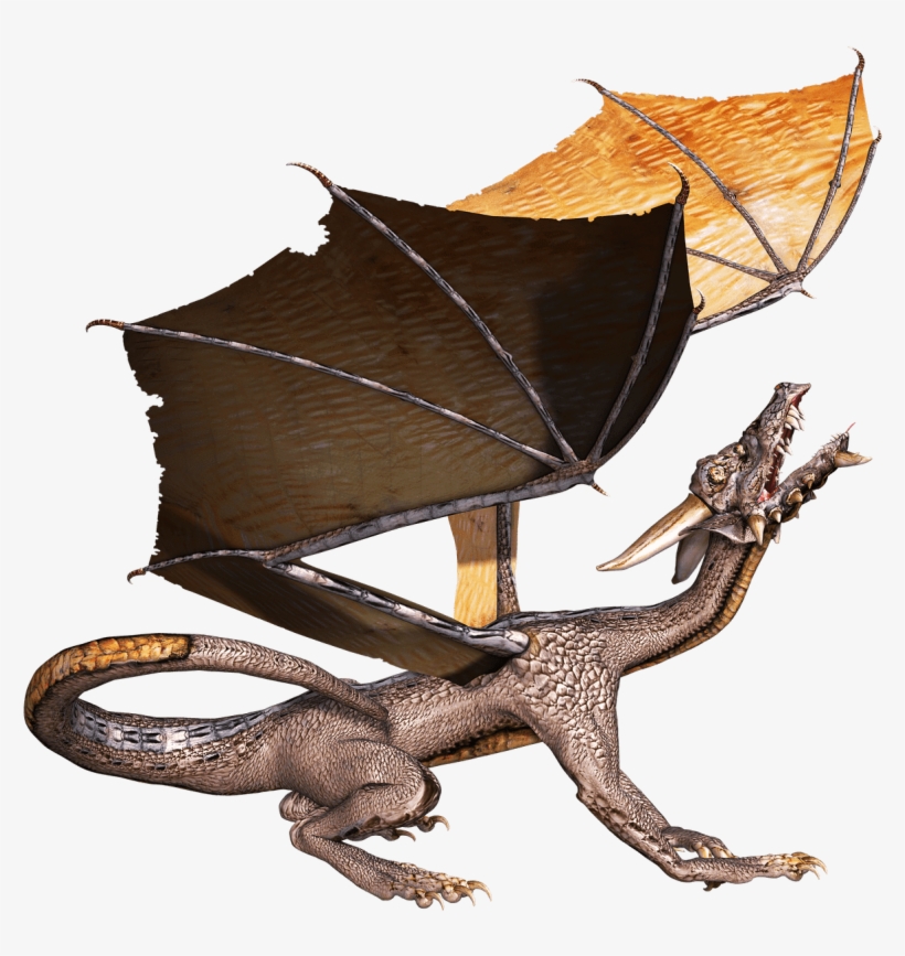 Free Png Download Dragon Head Up Png Images Background - Dragon, transparent png