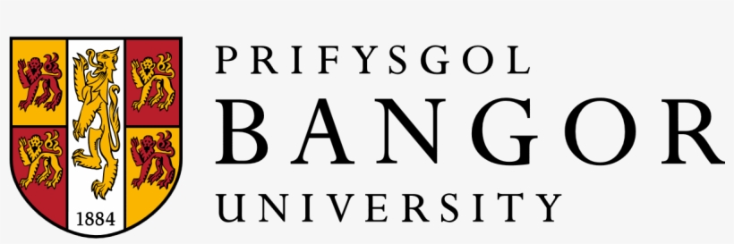 Working With 4 Fantastic @cardiffmlang Students Who - Bangor University, transparent png