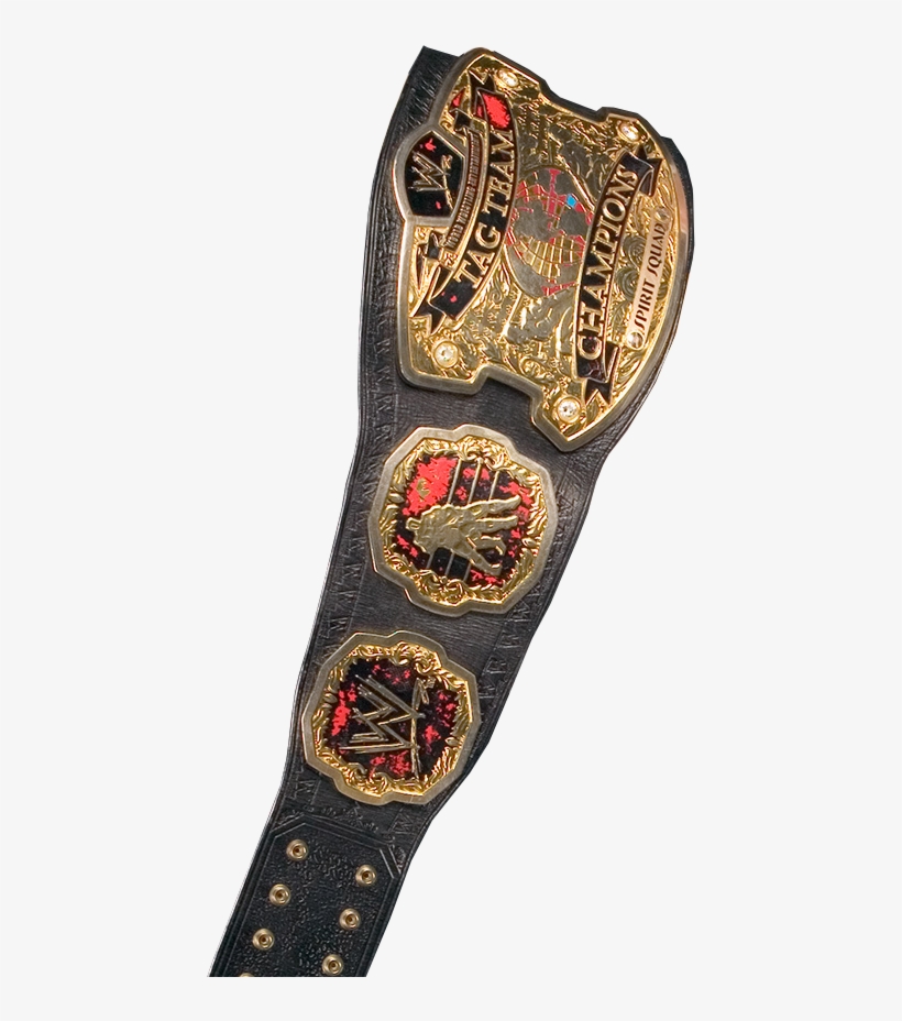 528 X 880 3 - World Tag Team Championship Png, transparent png