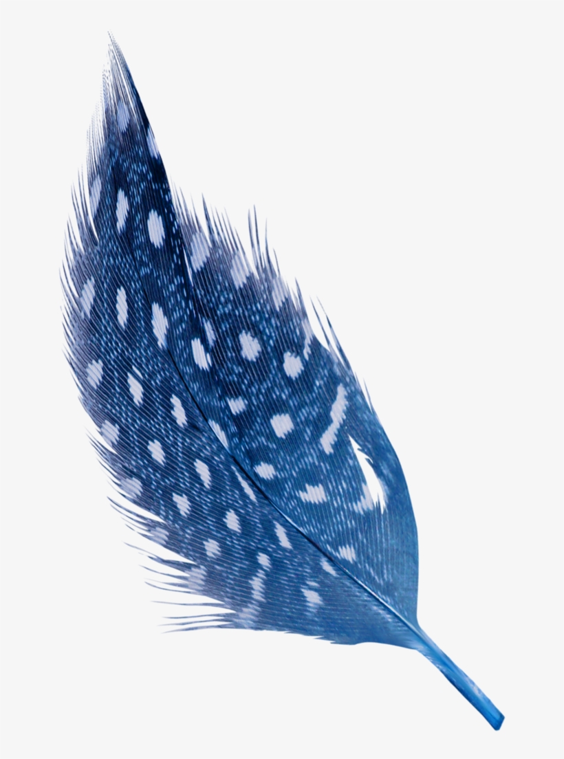 My Passion For Sewing Shades Of Blue, Feathers, Watercolor - Headpiece, transparent png