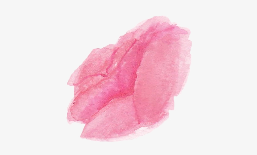 Watercolor English Roses - Watercolor Paint, transparent png