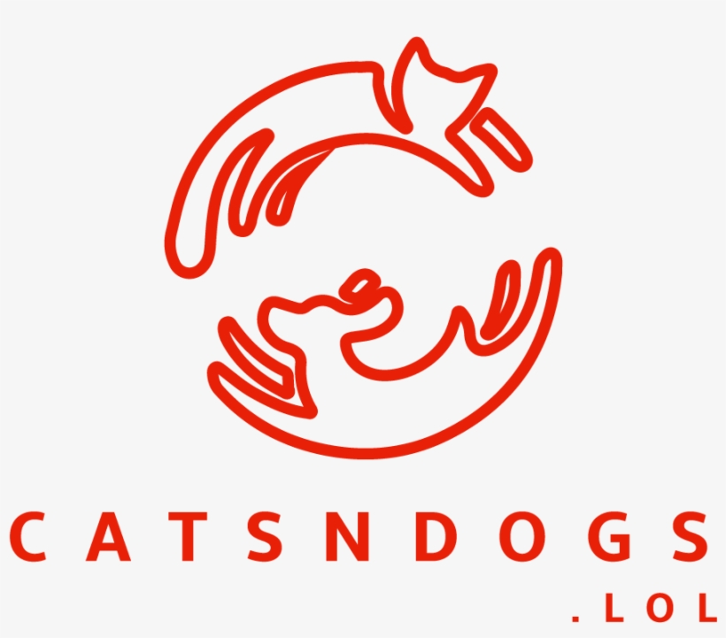 Catsndogs Logo - Graphic Design, transparent png