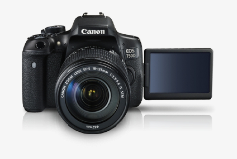 Canon 80d Price In Nepal, transparent png