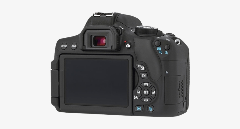 Overview Film With Alice Pasquini - Digital Slr, transparent png