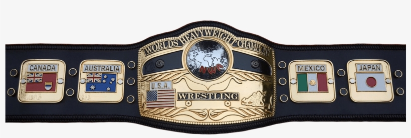 Nwa World Heavyweight Championship Wikia 1151x342 Png Download Pngkit