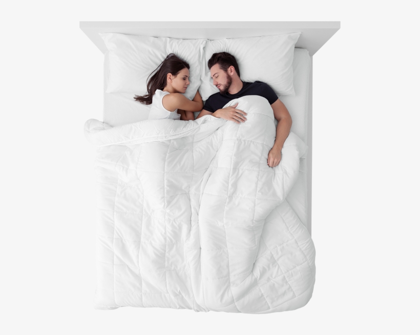 Feel The Bear Difference Or Your Money Back - Sleep, transparent png