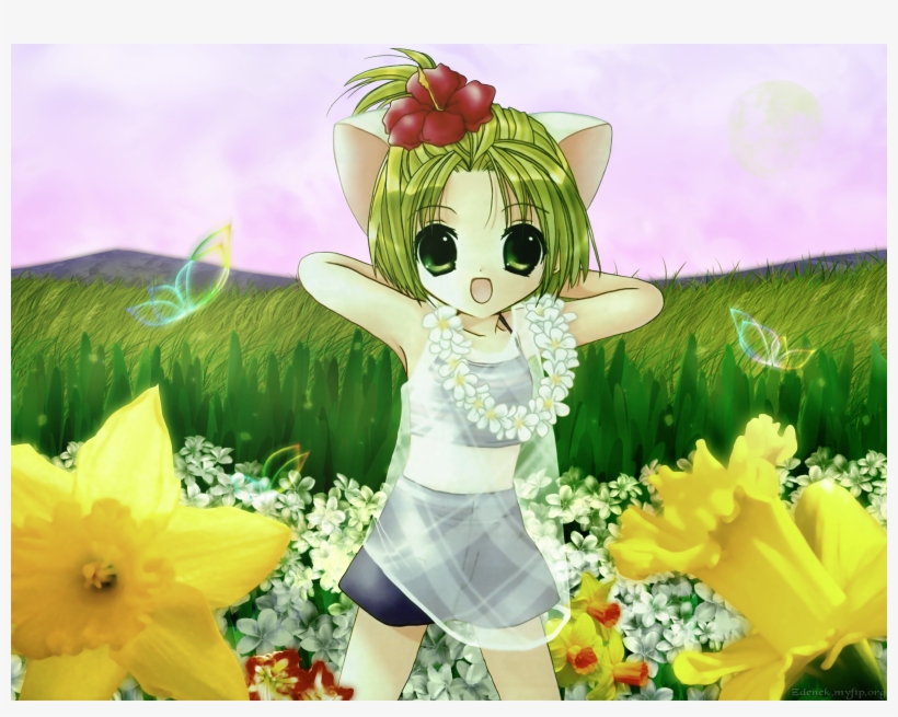 Set Various Desktop Colors To Change The Mood Of The - Cartoon, transparent png