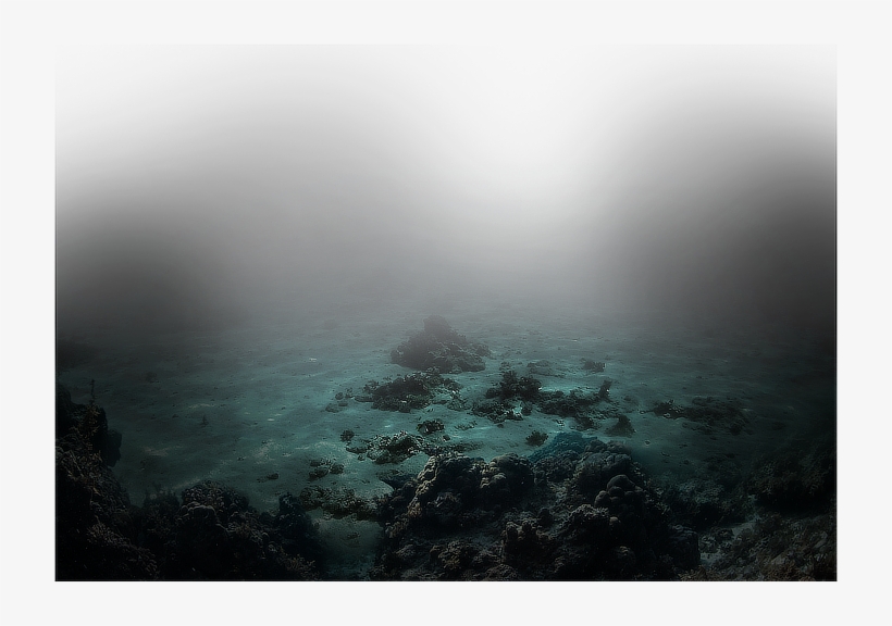 Seabed - Underwater, transparent png