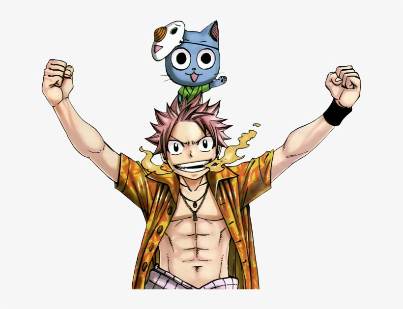 Fairy Tail - Fairy Tail Happy Animes, transparent png