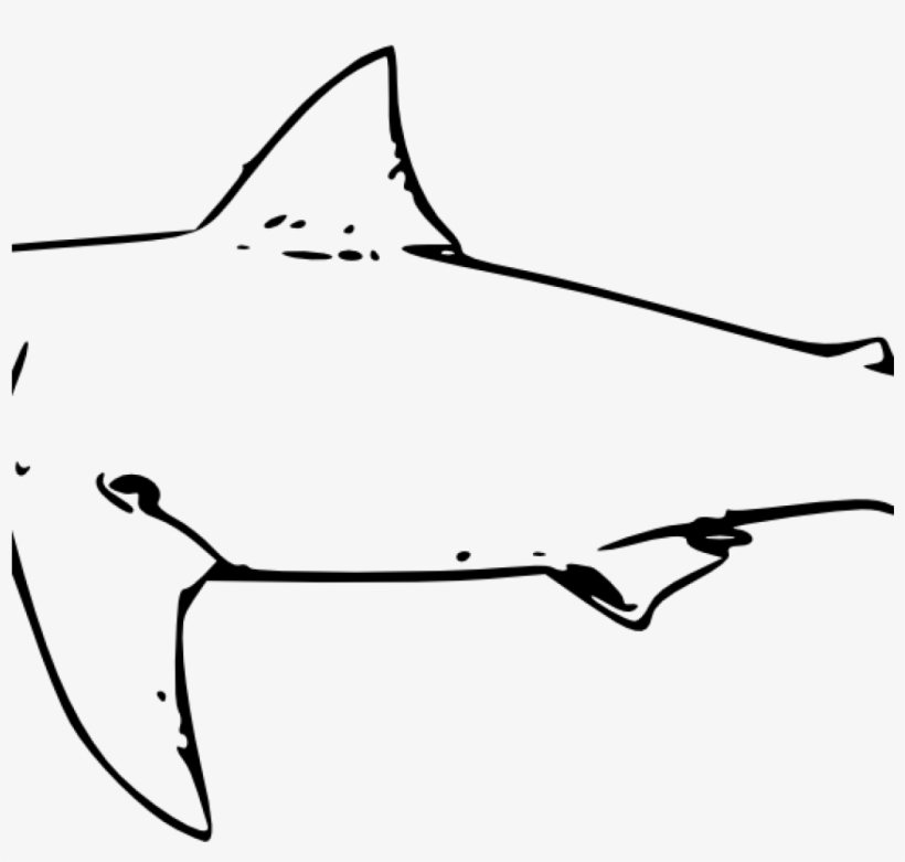 Shark Clipart Black And White Shark Clipart Black And - Shark Drawing Black And White, transparent png