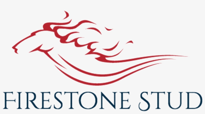 Picture - Business Studies, transparent png