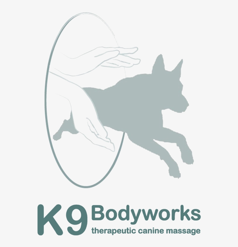 Supporting Partners Devoted To Veterans K9 Partners - Yorky Dogs, transparent png