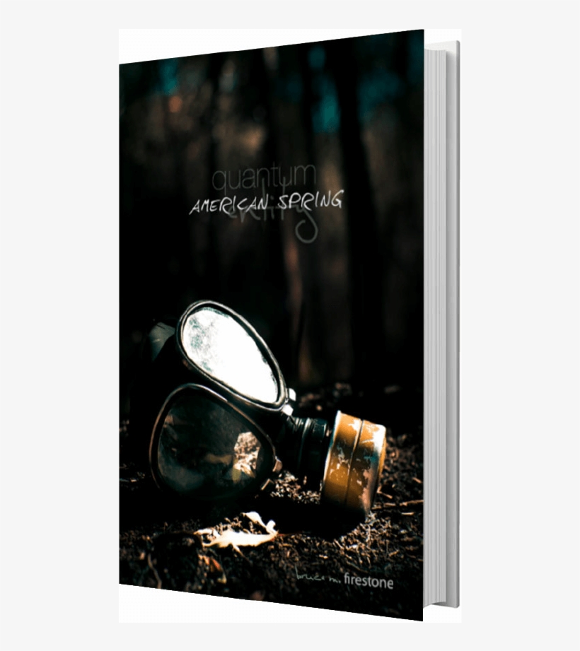 Bruce M Firestone Quantum Entitity American Spring - Poster, transparent png