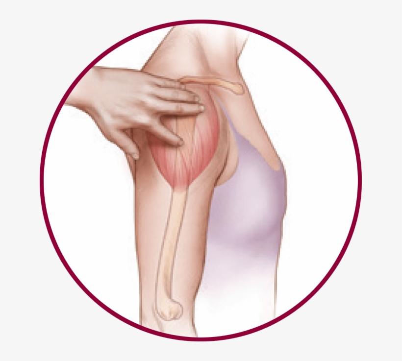 The Right Area Of Your Arm - Girl, transparent png