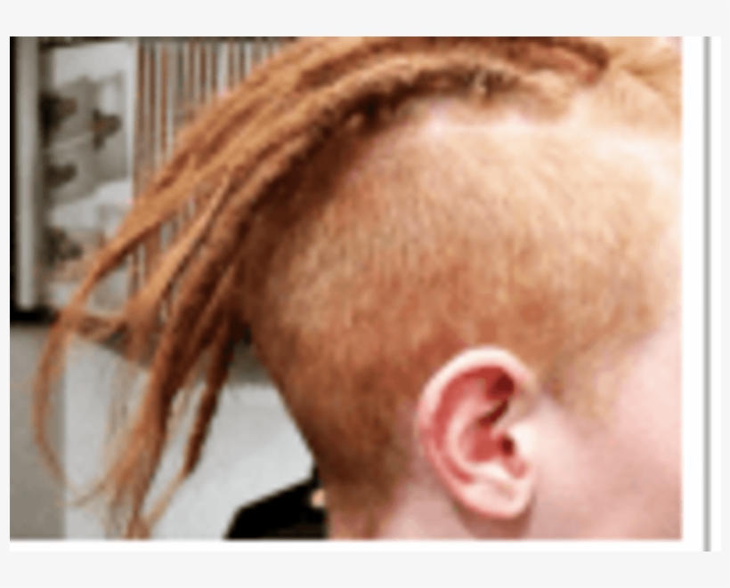 Dreadlocks, transparent png