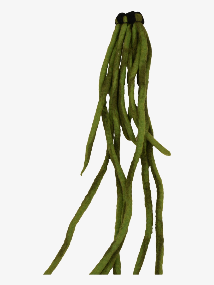 Dreadlock Hair Falls Hair Tie Asparagus 768x1024 Png Download