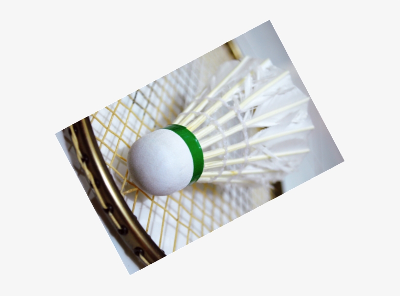 All You Need To Know - Badminton, transparent png