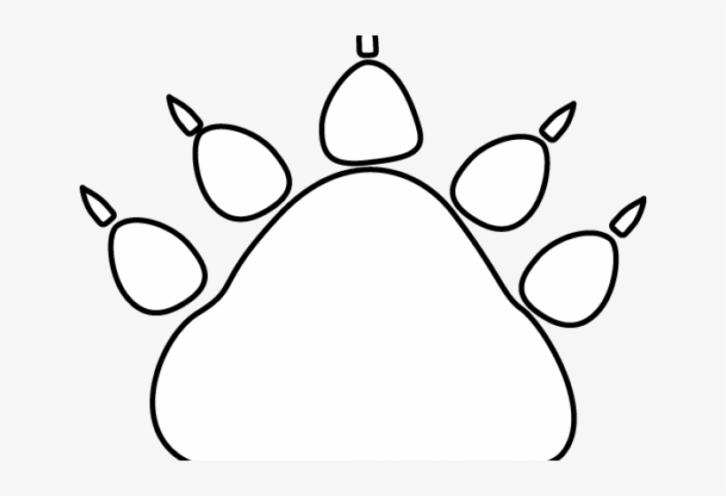 White Tiger Clipart Tiger Paw - Paw, transparent png