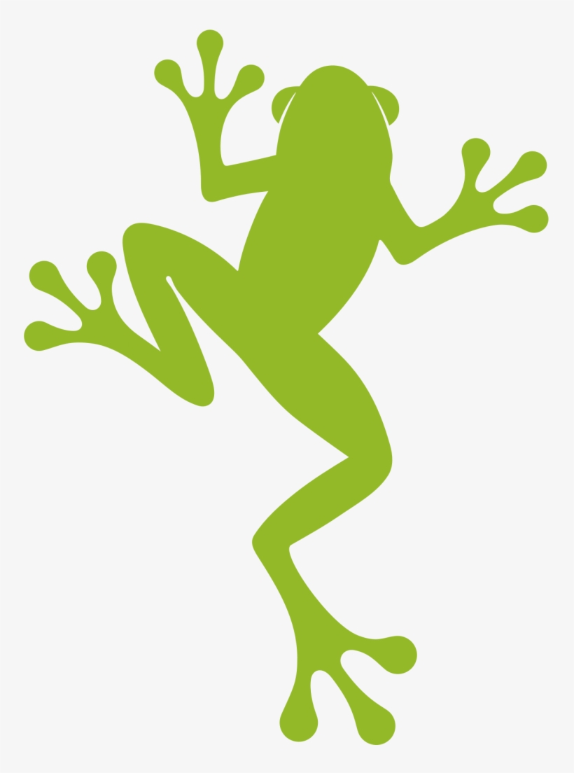 A New Look For Our Frog - True Frog, transparent png
