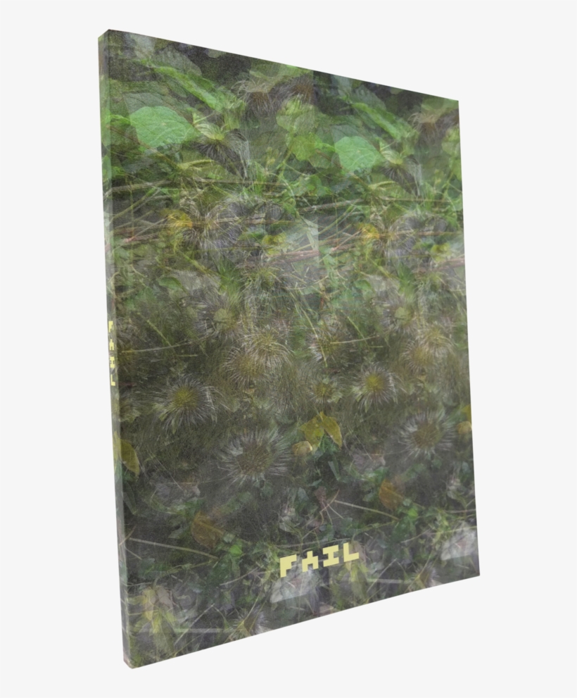 Fail - Painting, transparent png