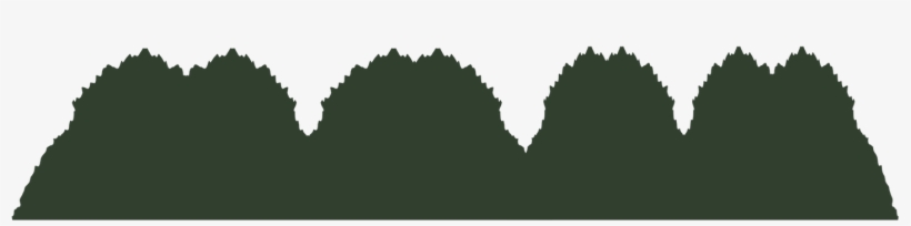 Bush Bg - Illustration, transparent png