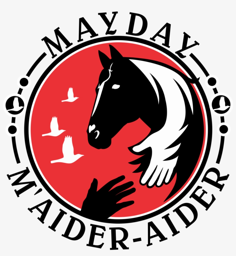 Red Robin F Man (andary - Minori Bento, transparent png