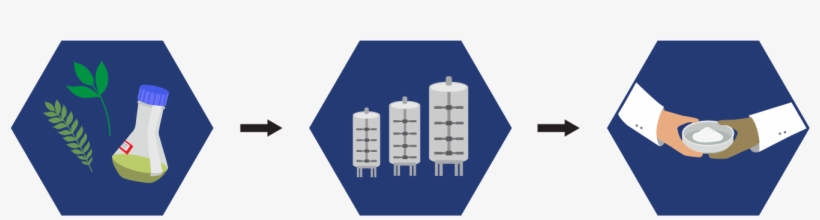 Plant Cell Fermentation Technology - Cylinder, transparent png