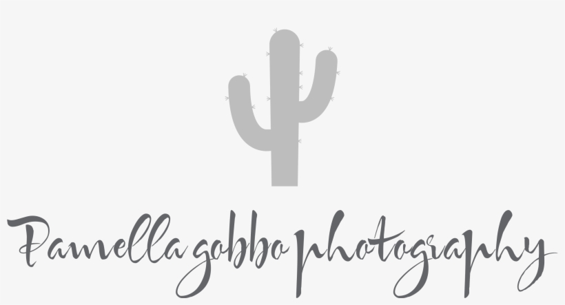 Pamella Gobbo - Pinnacle Entertainment, transparent png