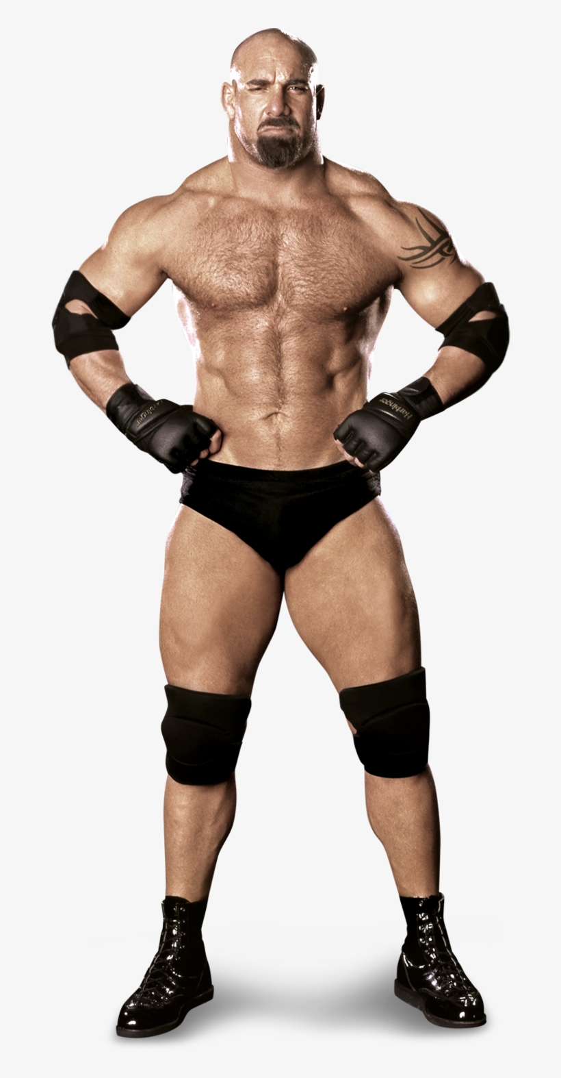 Wwe Tag Team Championship Png - Goldberg 2017 Universal Champion, transparent png