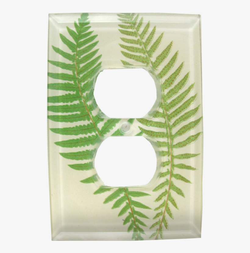 Vintage Fern, transparent png