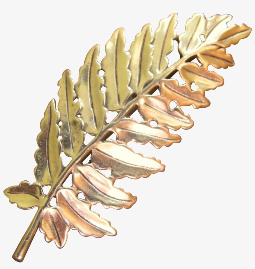 Metropolitan Museum Of Art Fern Leaf Brooch - Pond Pine, transparent png