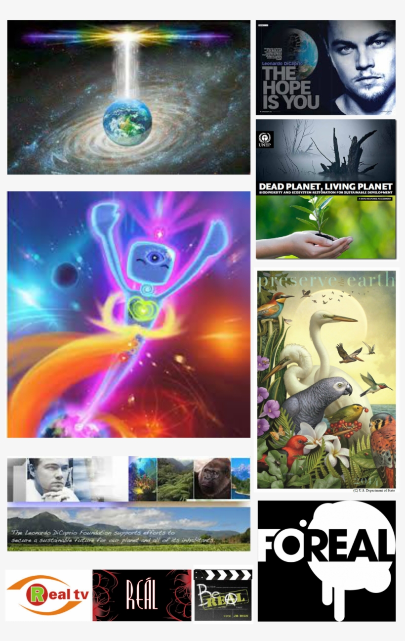 Picture - Leonardo Dicaprio, transparent png