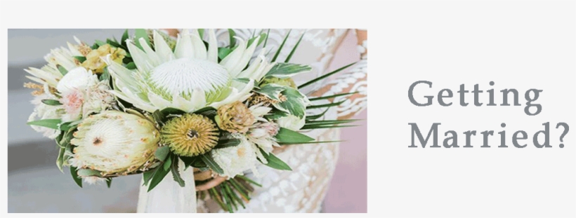 Fashionista Blooms $79 - Centrepiece, transparent png