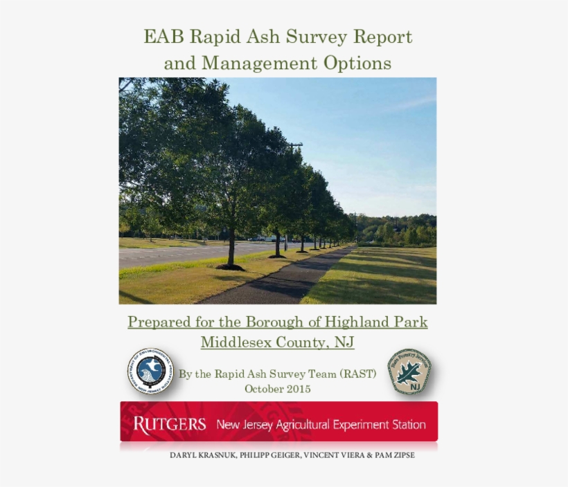 Emerald Ash Borer Survey Report And Management Options - New Jersey Department Of Environmental Protection, transparent png