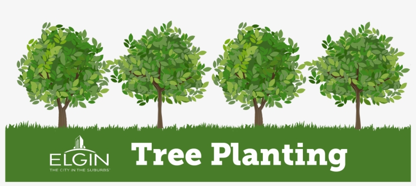 Go To Image - Tree Planting Clip Art, transparent png