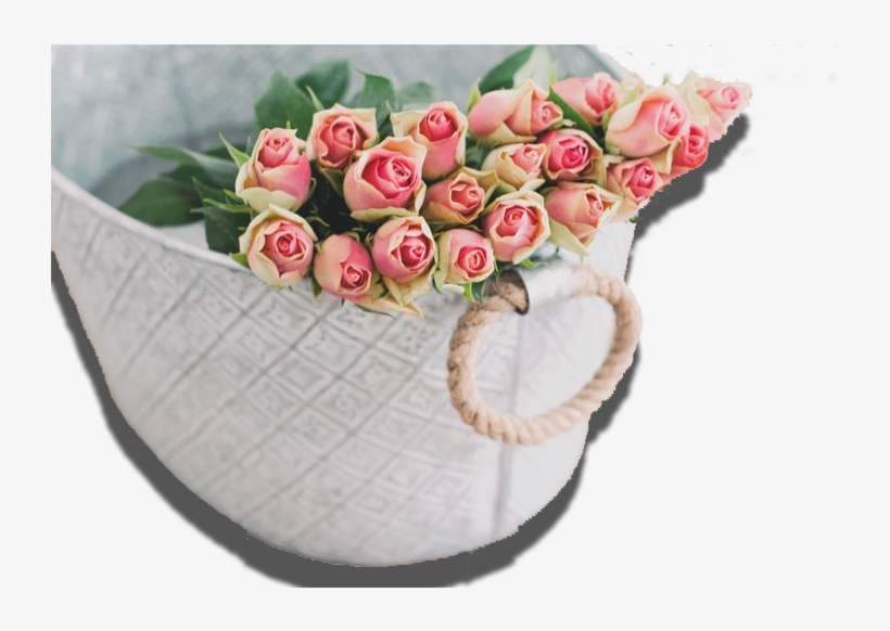 Slide2 - Pink Rose Flower Background Hd Rose, transparent png