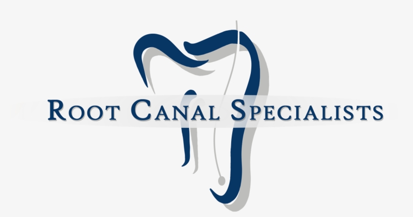 Link To Root Canal Specialists Home Page - Graphic Design, transparent png