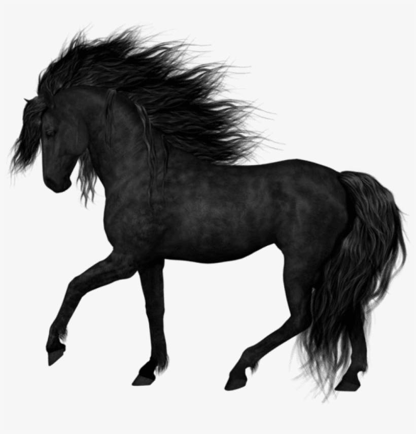 Download Black Horsepicture Png Images Background - Black Horse Png, transparent png