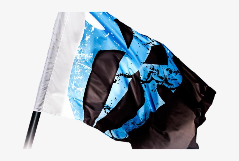 Suplexcity - Roman Reigns Flag Battleground, transparent png