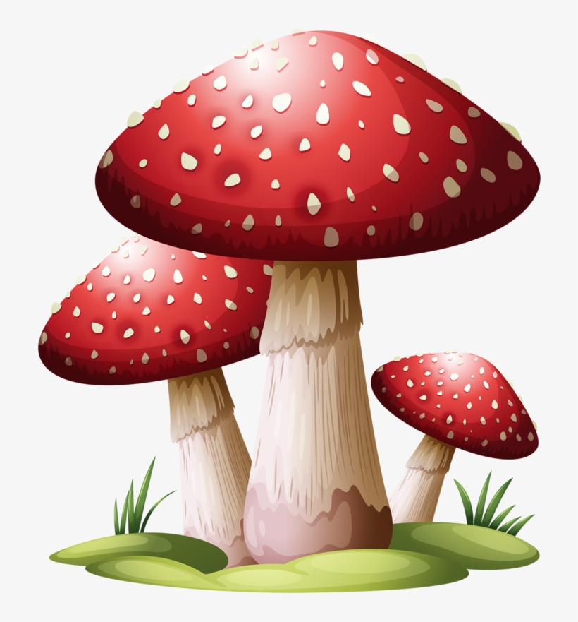 747 X 800 2 - Red Mushroom, transparent png