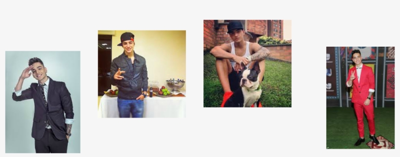 Boston Terrier, transparent png