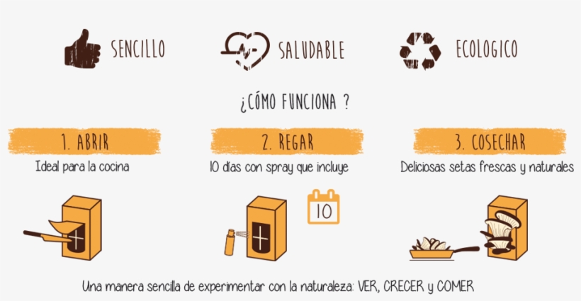 Setas Pocket Gourmet - Orange, transparent png