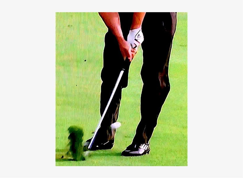 If You Would Like To Go A Step Further Then Give Us - Pitch And Putt, transparent png