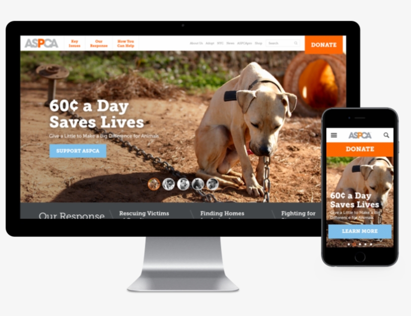 Aspca Site Display - Dog, transparent png