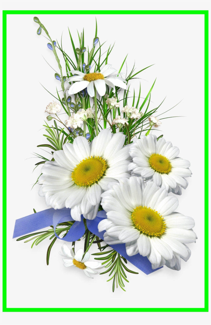 Aster Flower Clipart - Tube Bouquet De Marguerite Png, transparent png