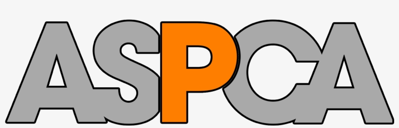 5% Of The Proceeds Will Be Donated To The Aspca To, transparent png
