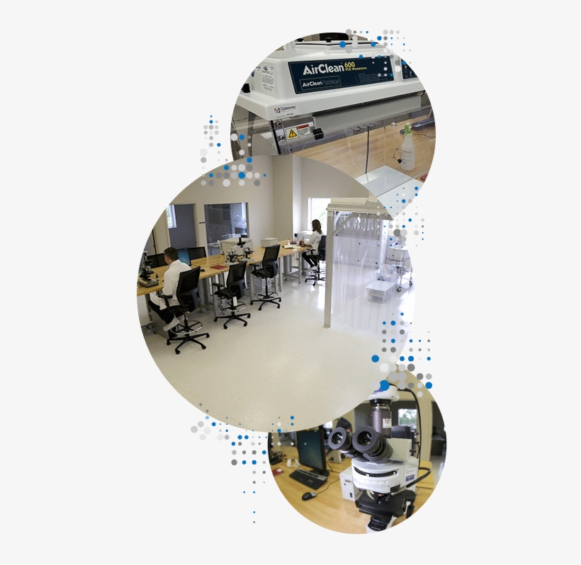 A State Of The Art Analytical Laboratory Deploying - Interior Design, transparent png