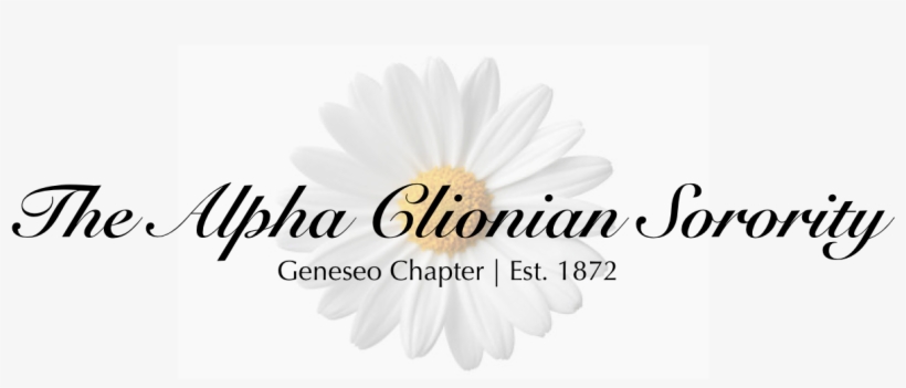 Clearance Sale, transparent png