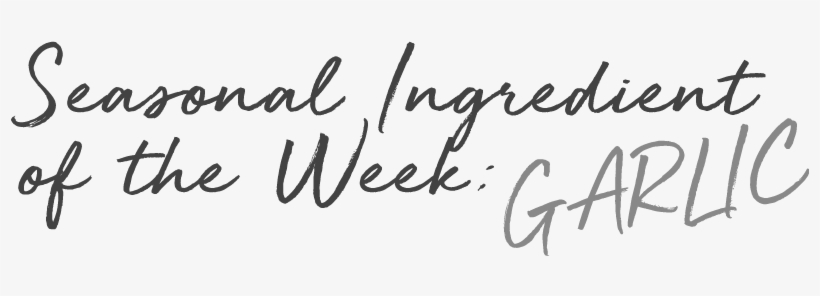 Seasonal Text Garlic - Calligraphy, transparent png